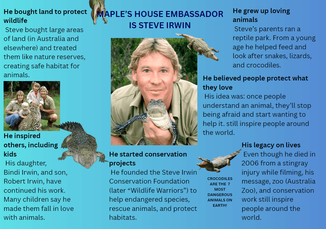Steve Irwin Poster