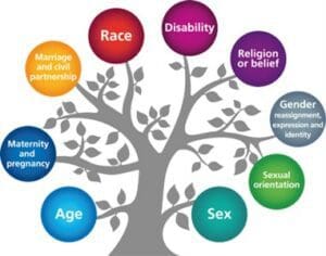 protected characteristics tree 300x236